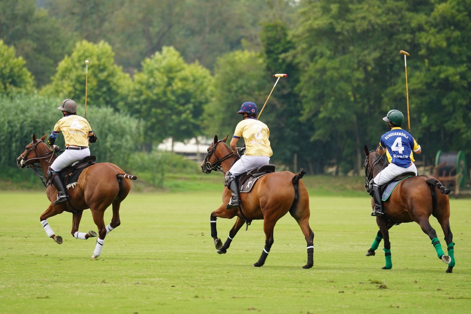 Three polo players on horseback galloping across a grass field during a match